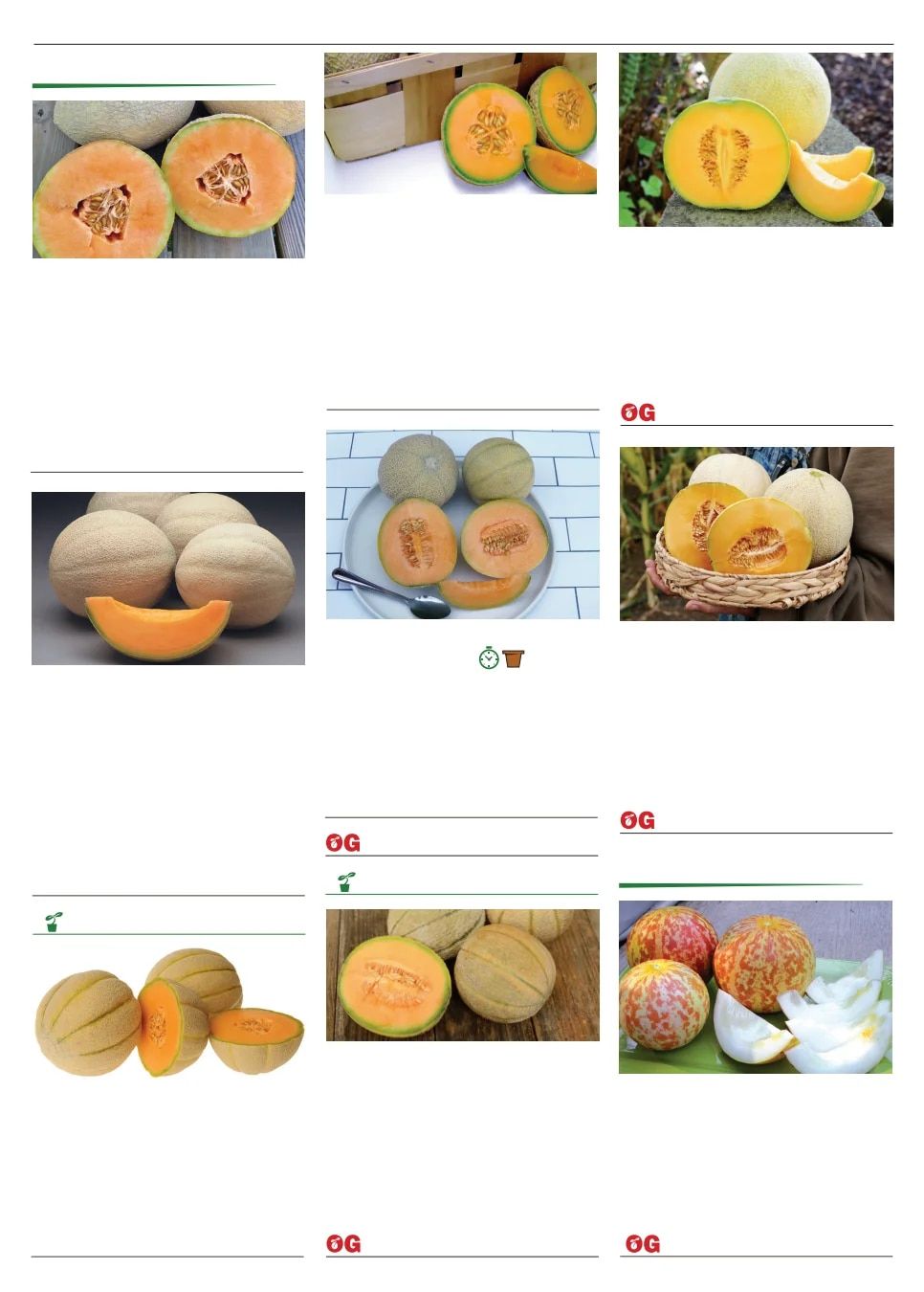 Territorial Seed Spring Catalog Weekly Ad January 1 - September 30, 2026