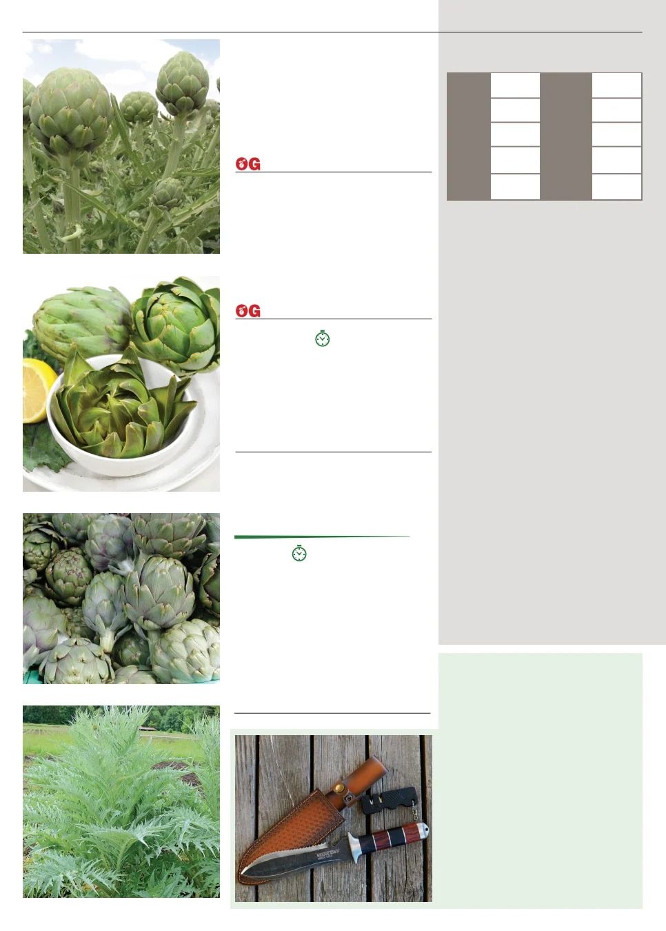 Territorial Seed Spring Catalog Weekly Ad January 1 - September 30, 2026