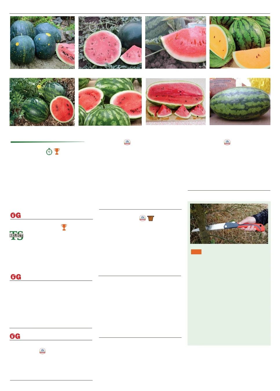 Territorial Seed Spring Catalog Weekly Ad January 1 - September 30, 2026