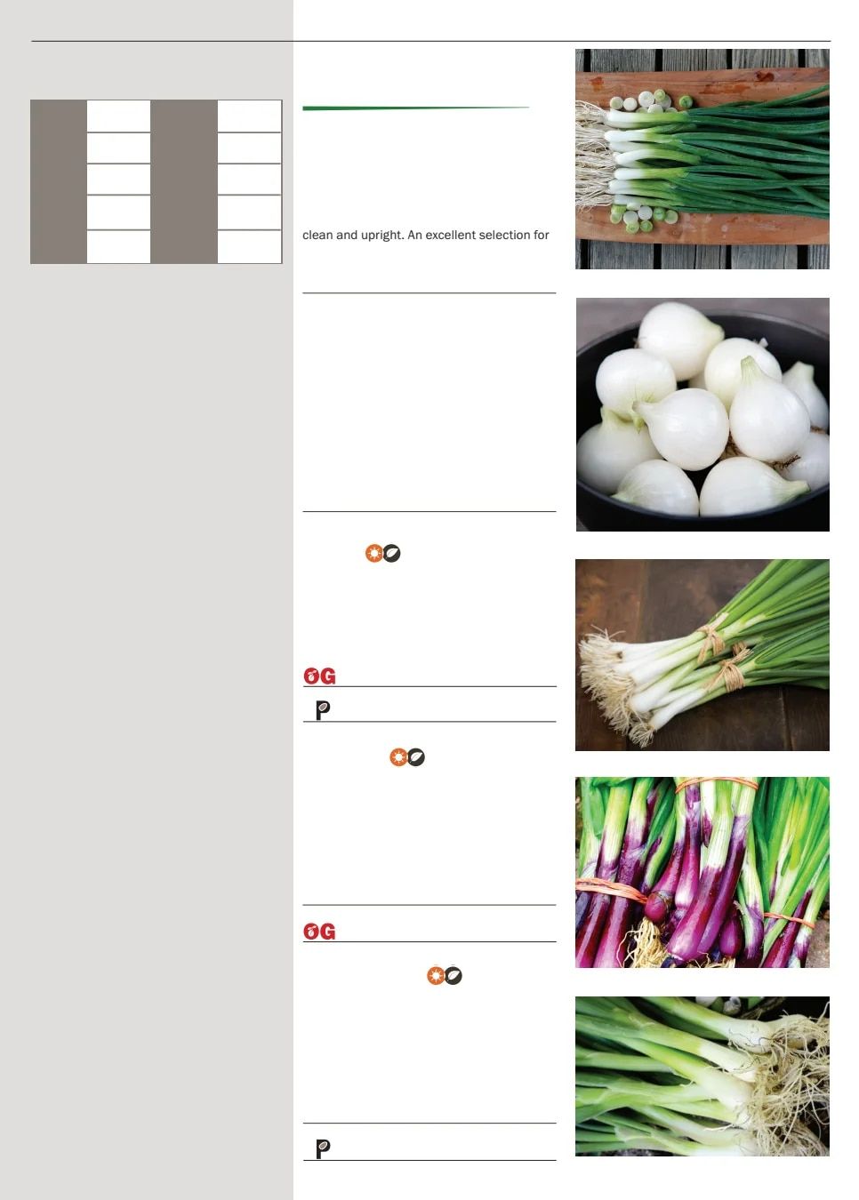 Territorial Seed Spring Catalog Weekly Ad January 1 - September 30, 2026