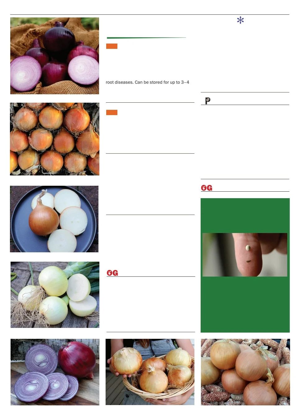 Territorial Seed Spring Catalog Weekly Ad January 1 - September 30, 2026