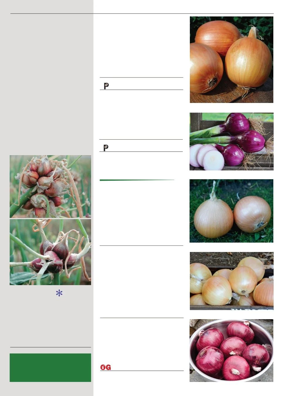 Territorial Seed Spring Catalog Weekly Ad January 1 - September 30, 2026