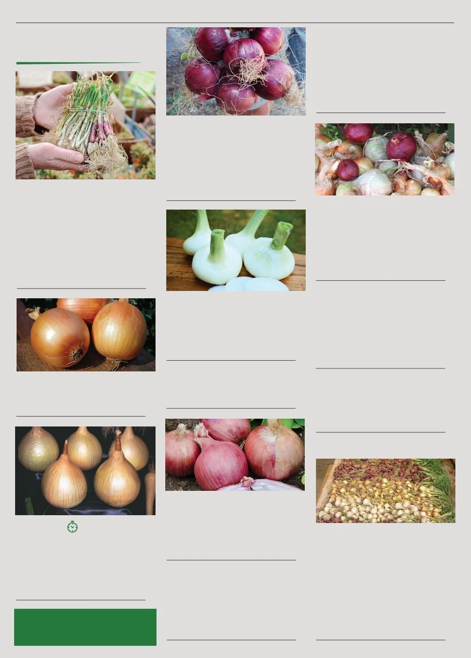 Territorial Seed Spring Catalog Weekly Ad January 1 - September 30, 2026