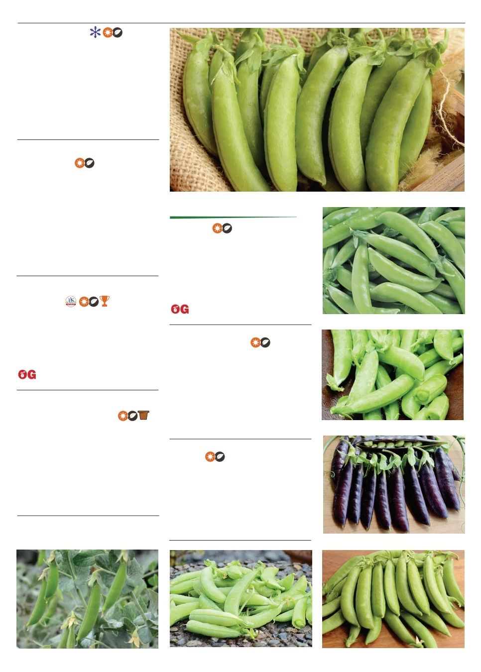 Territorial Seed Spring Catalog Weekly Ad January 1 - September 30, 2026