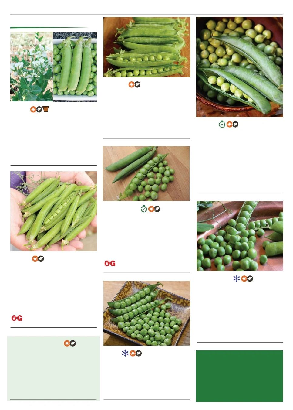 Territorial Seed Spring Catalog Weekly Ad January 1 - September 30, 2026