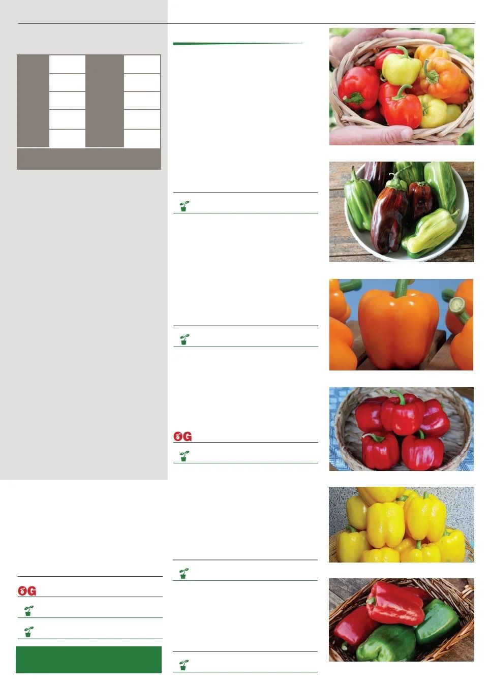 Territorial Seed Spring Catalog Weekly Ad January 1 - September 30, 2026