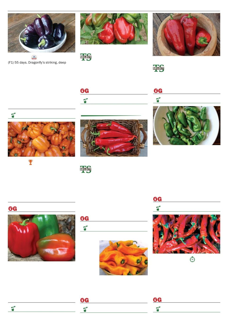 Territorial Seed Spring Catalog Weekly Ad January 1 - September 30, 2026
