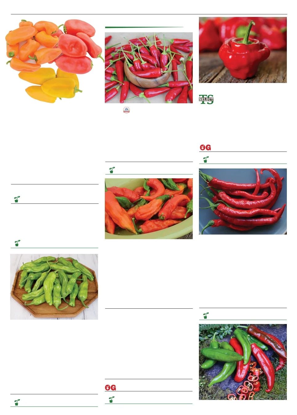Territorial Seed Spring Catalog Weekly Ad January 1 - September 30, 2026