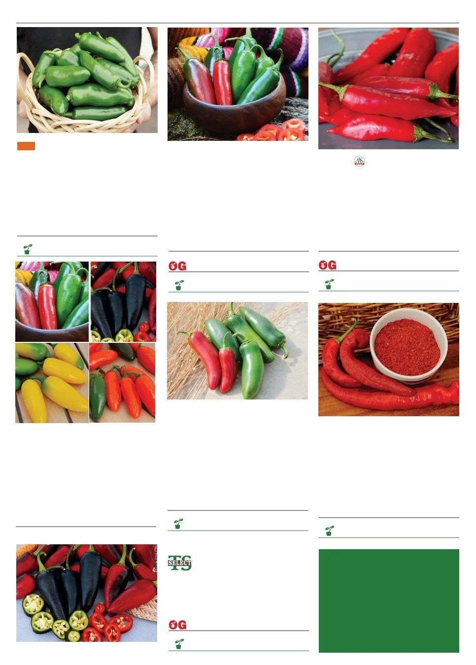 Territorial Seed Spring Catalog Weekly Ad January 1 - September 30, 2026