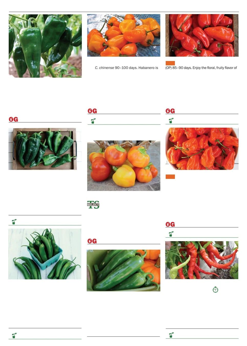 Territorial Seed Spring Catalog Weekly Ad January 1 - September 30, 2026