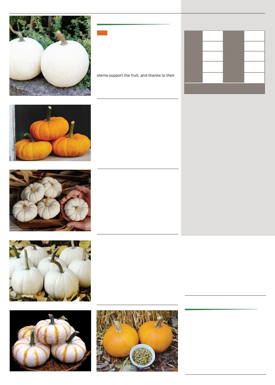 Territorial Seed Spring Catalog Weekly Ad January 1 - September 30, 2026