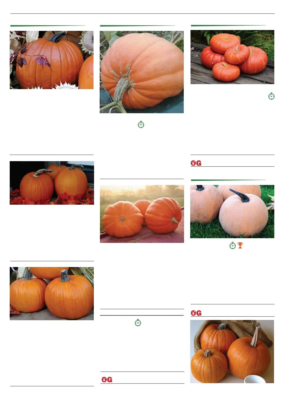 Territorial Seed Spring Catalog Weekly Ad January 1 - September 30, 2026