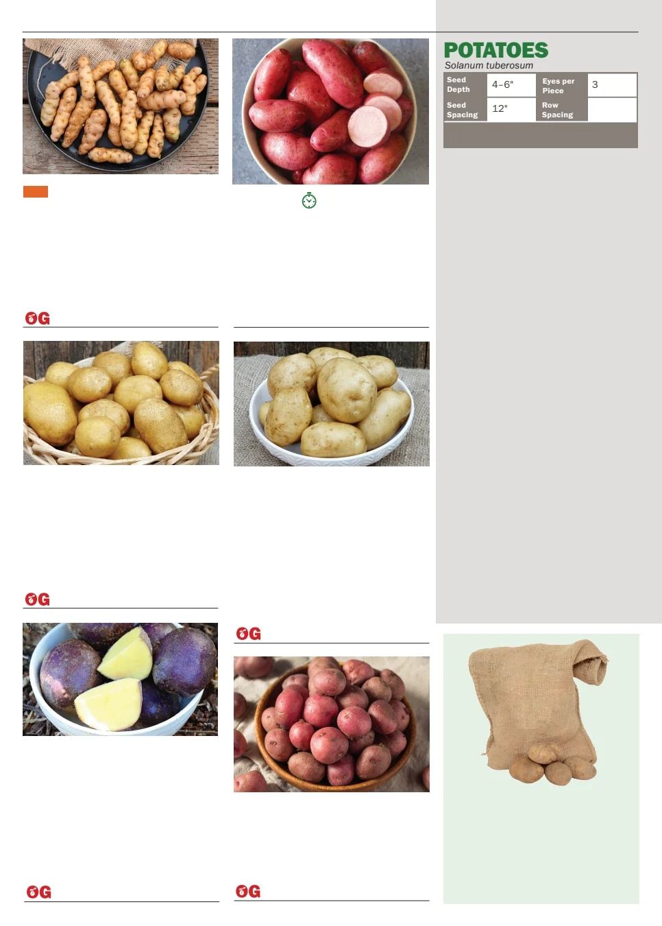 Territorial Seed Spring Catalog Weekly Ad January 1 - September 30, 2026