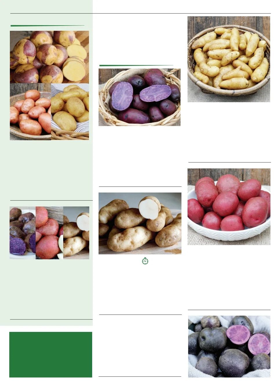 Territorial Seed Spring Catalog Weekly Ad January 1 - September 30, 2026