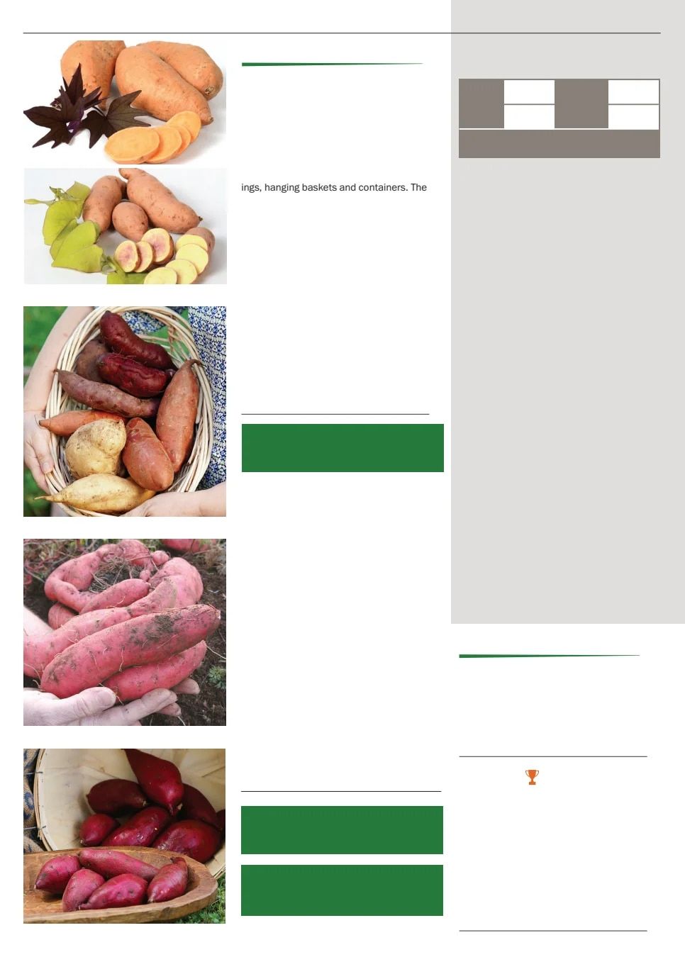 Territorial Seed Spring Catalog Weekly Ad January 1 - September 30, 2026