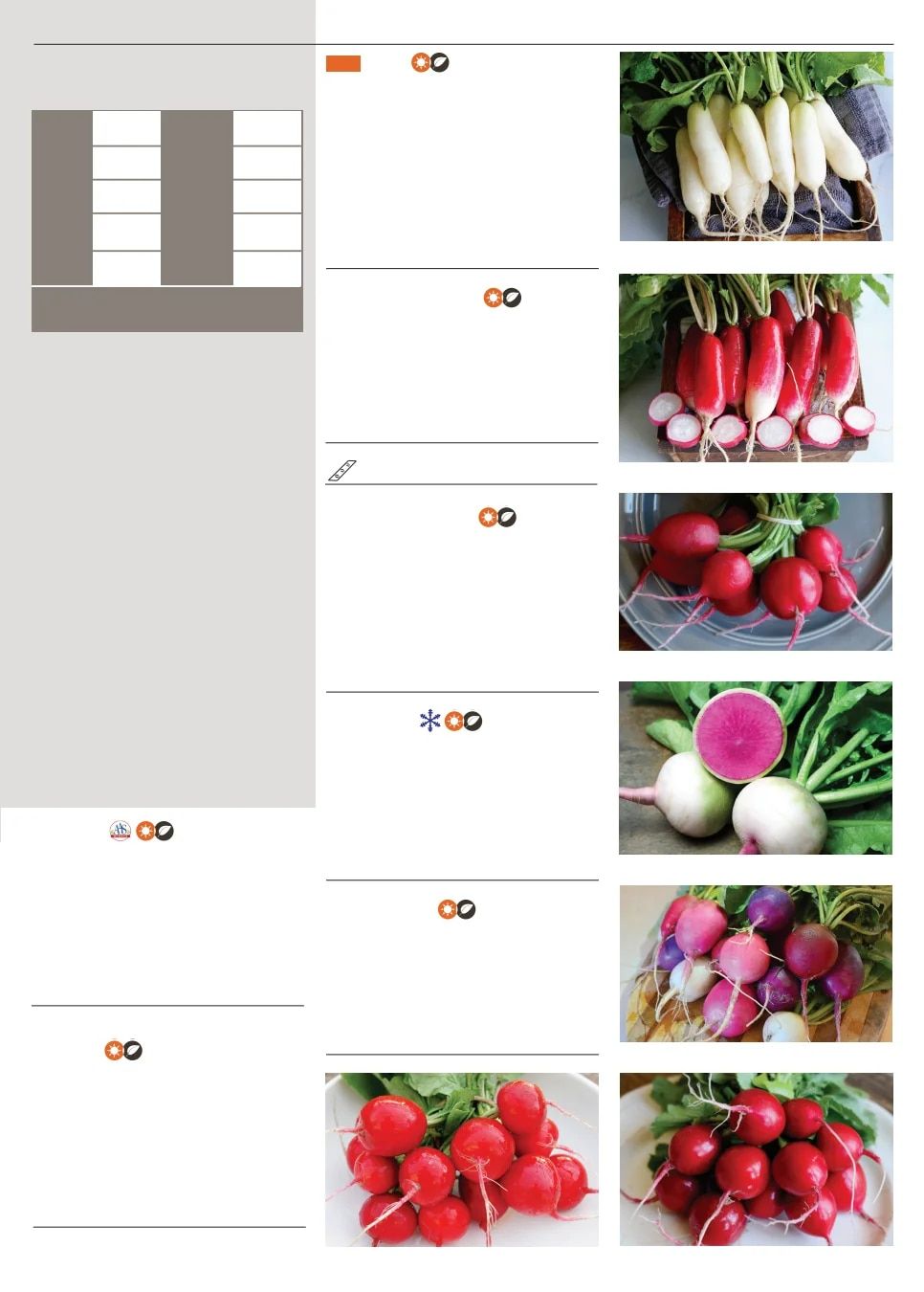 Territorial Seed Spring Catalog Weekly Ad January 1 - September 30, 2026