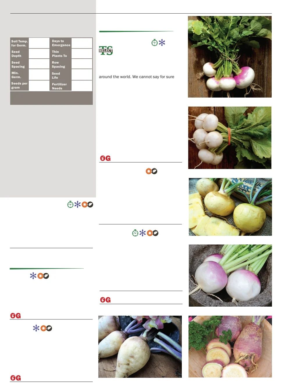 Territorial Seed Spring Catalog Weekly Ad January 1 - September 30, 2026