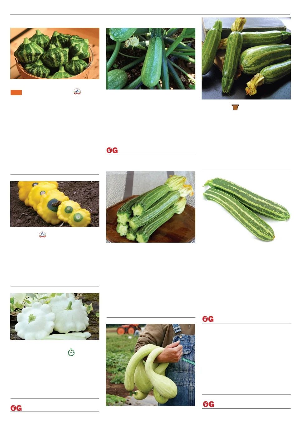 Territorial Seed Spring Catalog Weekly Ad January 1 - September 30, 2026