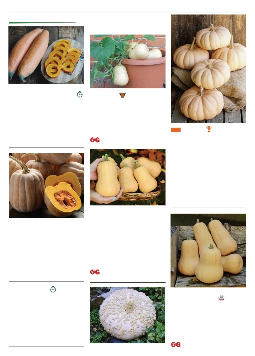 Territorial Seed Spring Catalog Weekly Ad January 1 - September 30, 2026