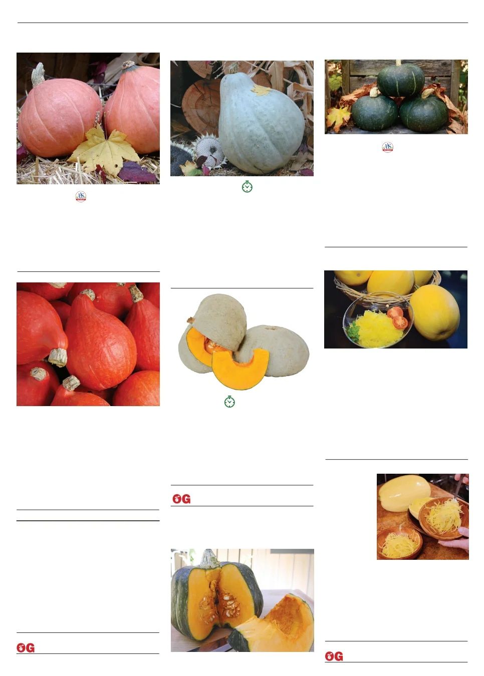 Territorial Seed Spring Catalog Weekly Ad January 1 - September 30, 2026