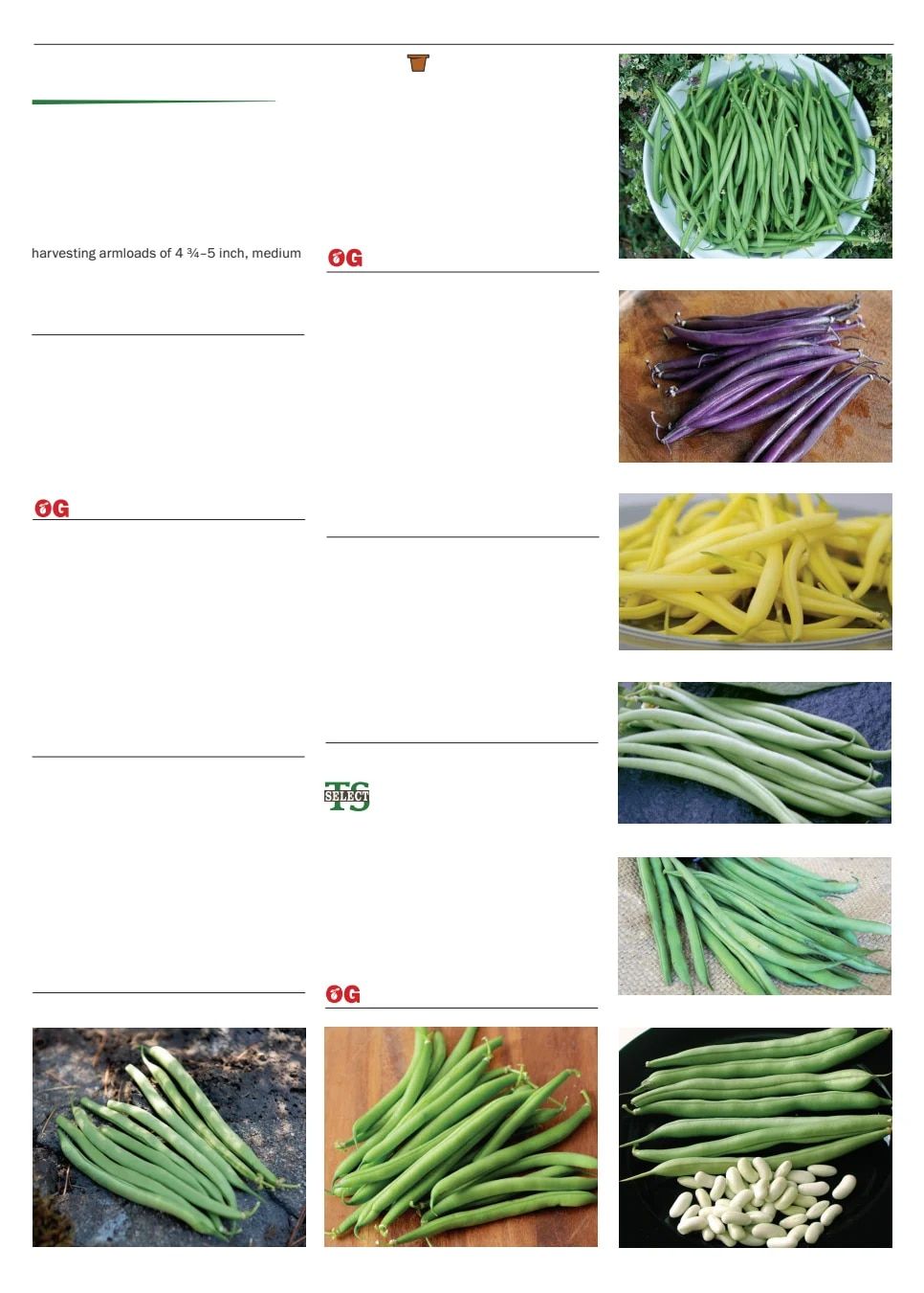 Territorial Seed Spring Catalog Weekly Ad January 1 - September 30, 2026