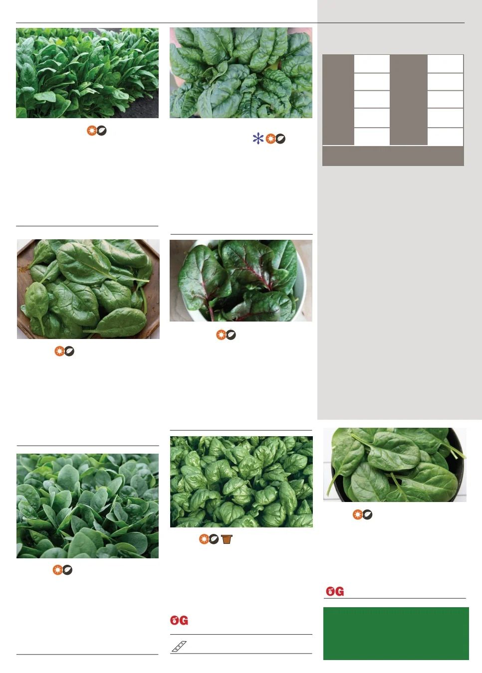 Territorial Seed Spring Catalog Weekly Ad January 1 - September 30, 2026