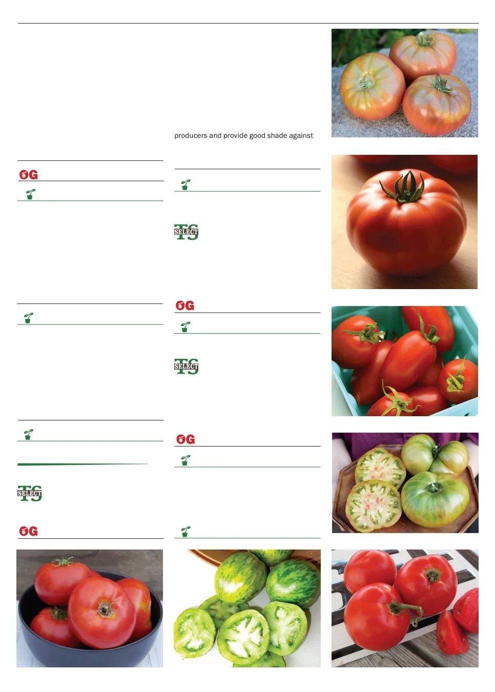Territorial Seed Spring Catalog Weekly Ad January 1 - September 30, 2026