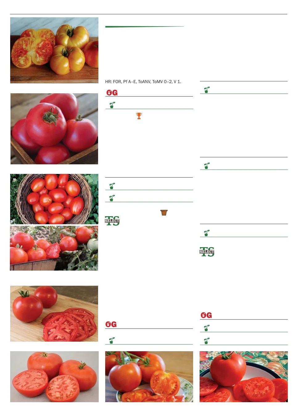 Territorial Seed Spring Catalog Weekly Ad January 1 - September 30, 2026