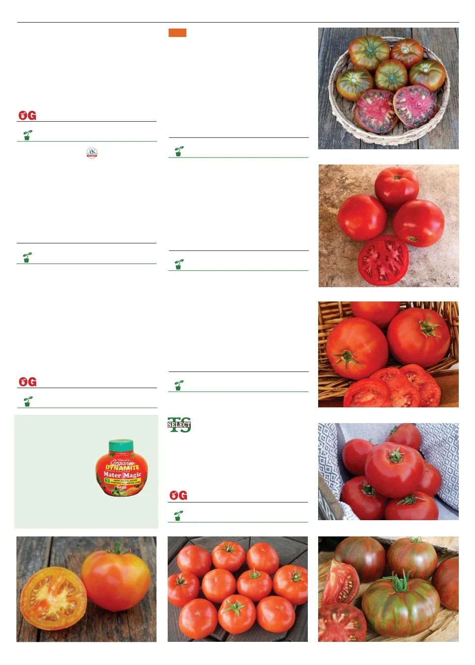 Territorial Seed Spring Catalog Weekly Ad January 1 - September 30, 2026