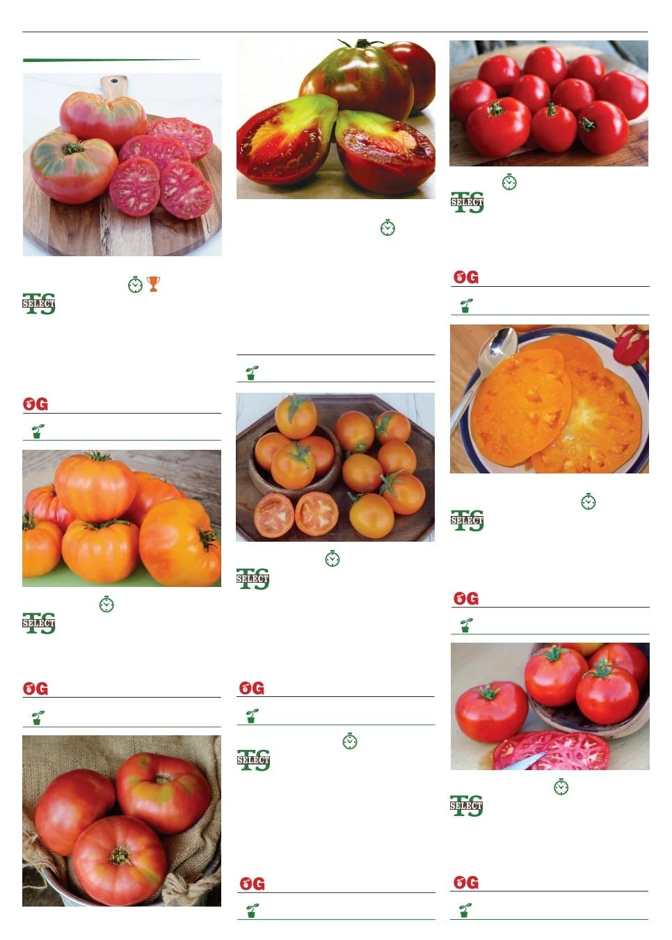 Territorial Seed Spring Catalog Weekly Ad January 1 - September 30, 2026