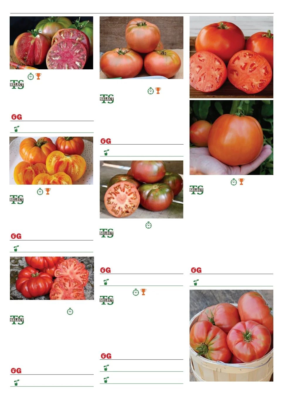 Territorial Seed Spring Catalog Weekly Ad January 1 - September 30, 2026