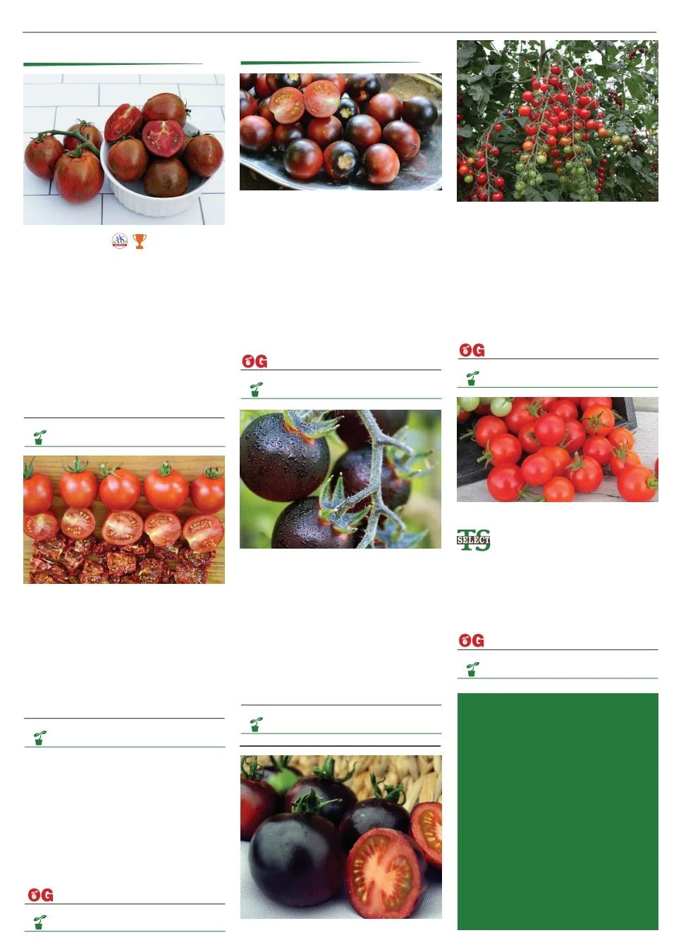 Territorial Seed Spring Catalog Weekly Ad January 1 - September 30, 2026