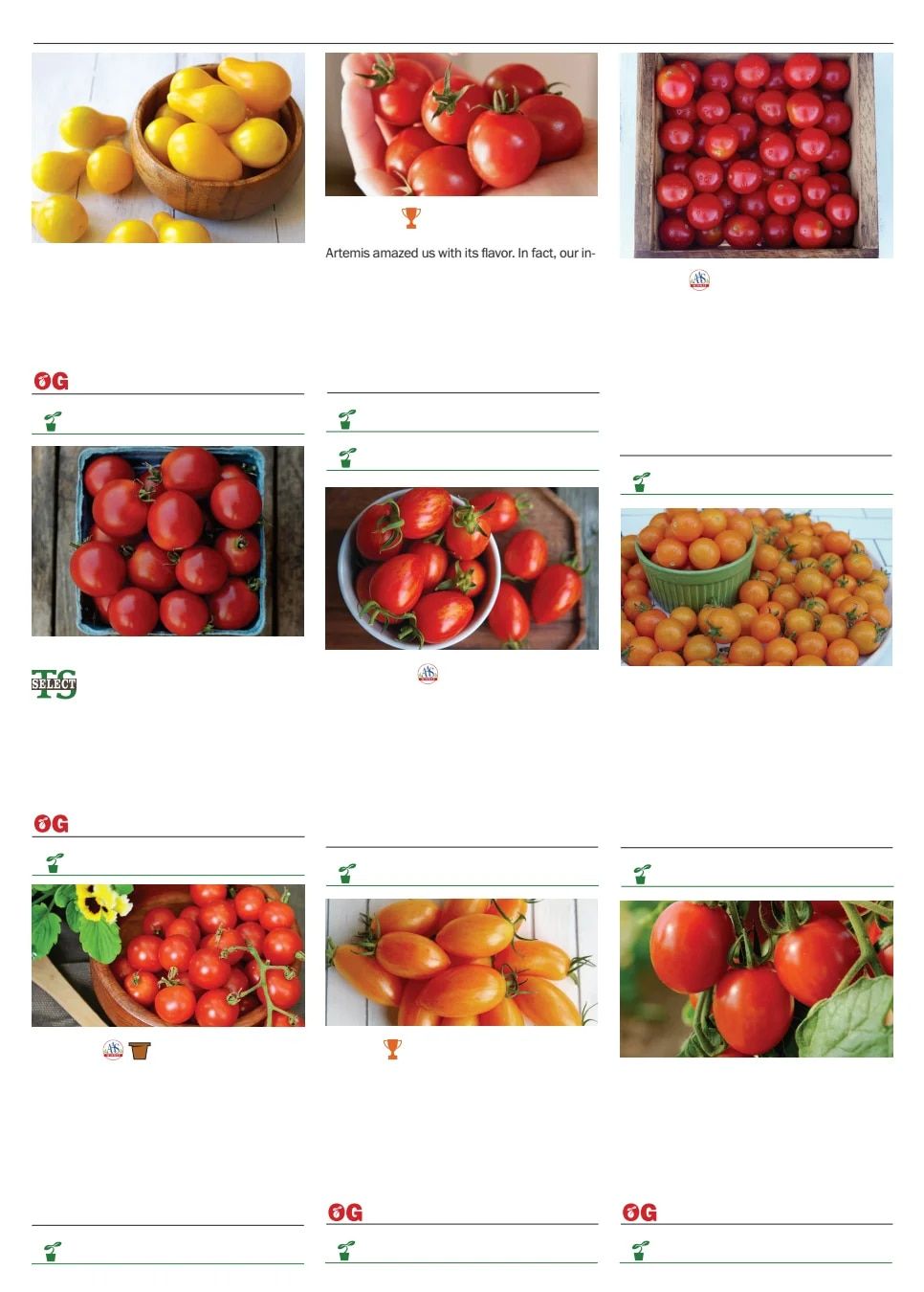 Territorial Seed Spring Catalog Weekly Ad January 1 - September 30, 2026
