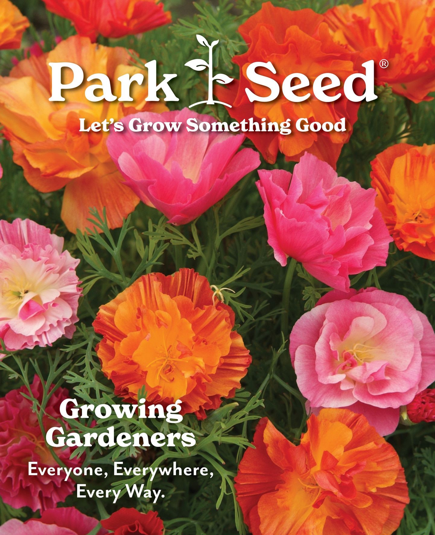 Park Seed Big Seed Spring Catalog Weekly Ad January 1 - December 31, 2026