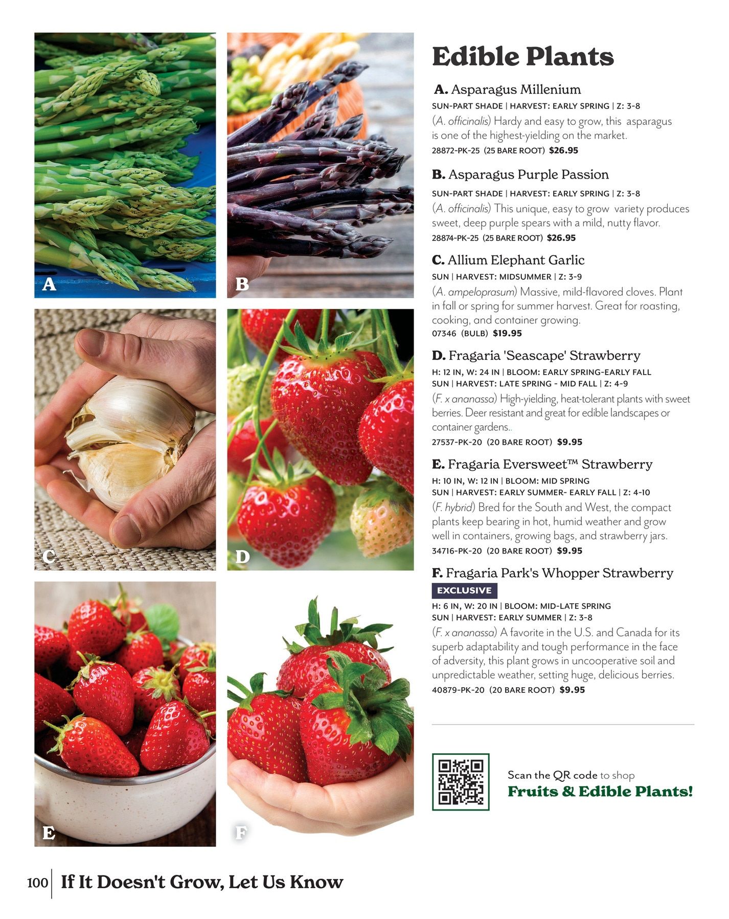 Park Seed Big Seed Spring Catalog Weekly Ad January 1 - December 31, 2026