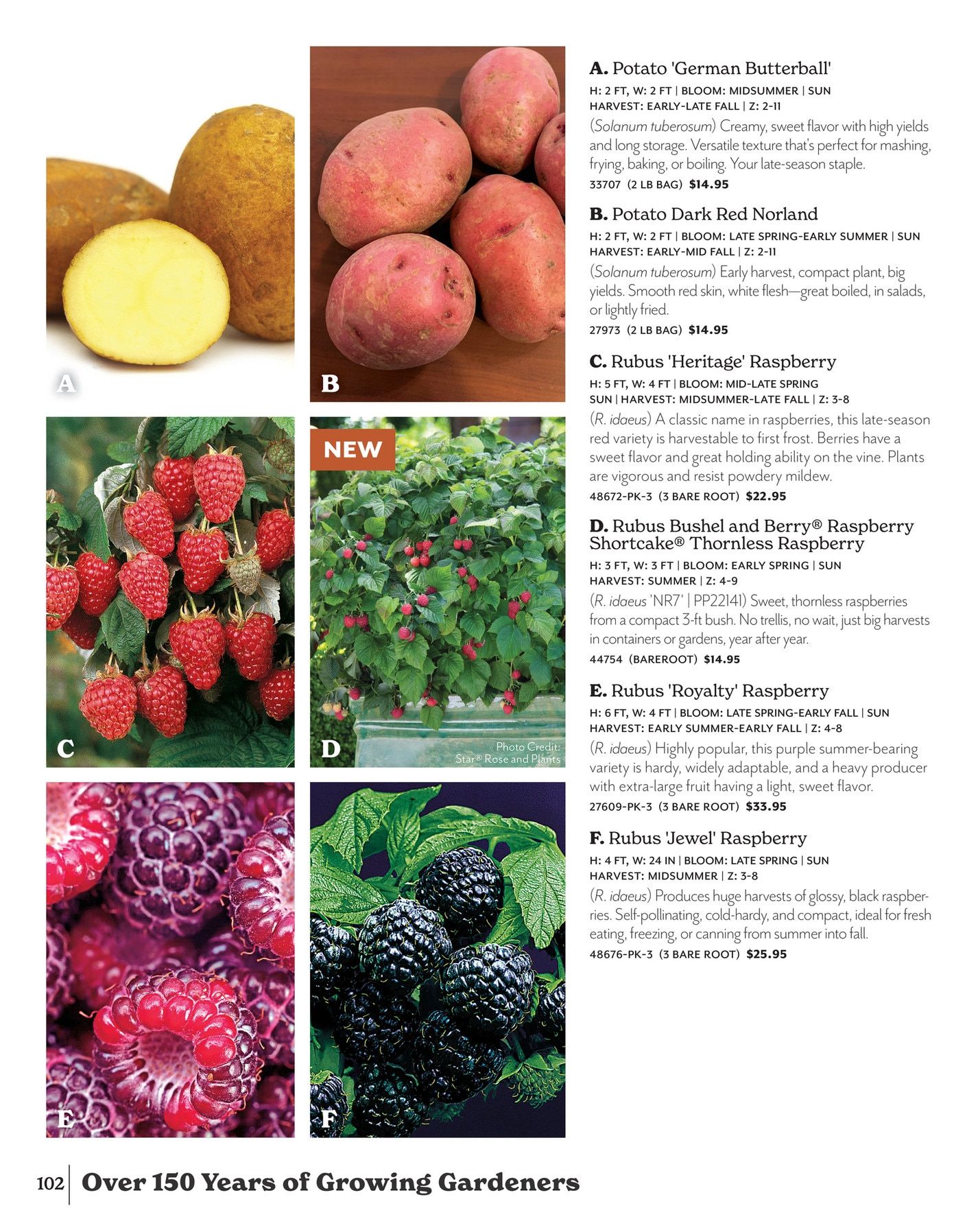 Park Seed Big Seed Spring Catalog Weekly Ad January 1 - December 31, 2026