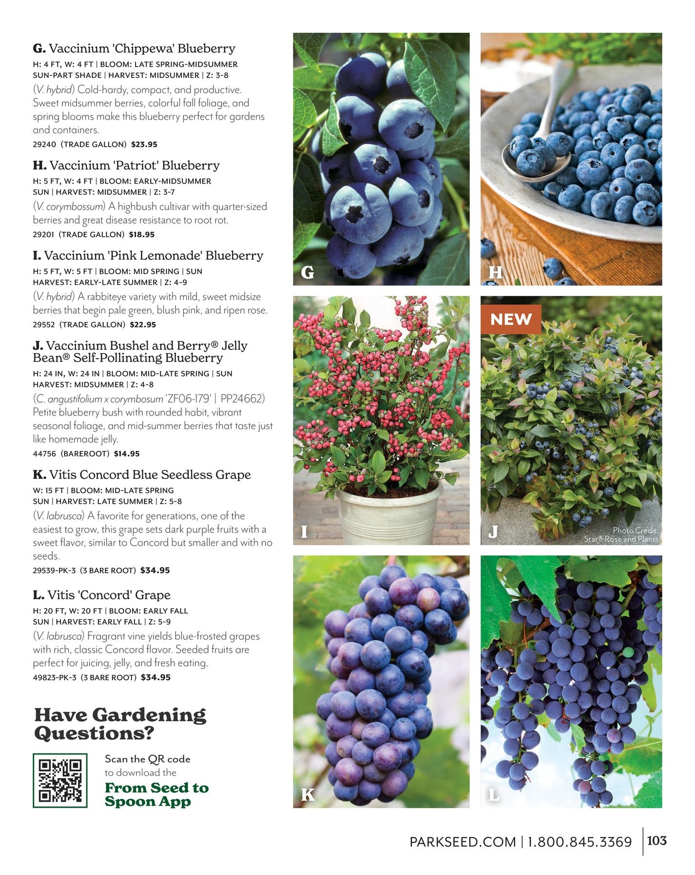 Park Seed Big Seed Spring Catalog Weekly Ad January 1 - December 31, 2026