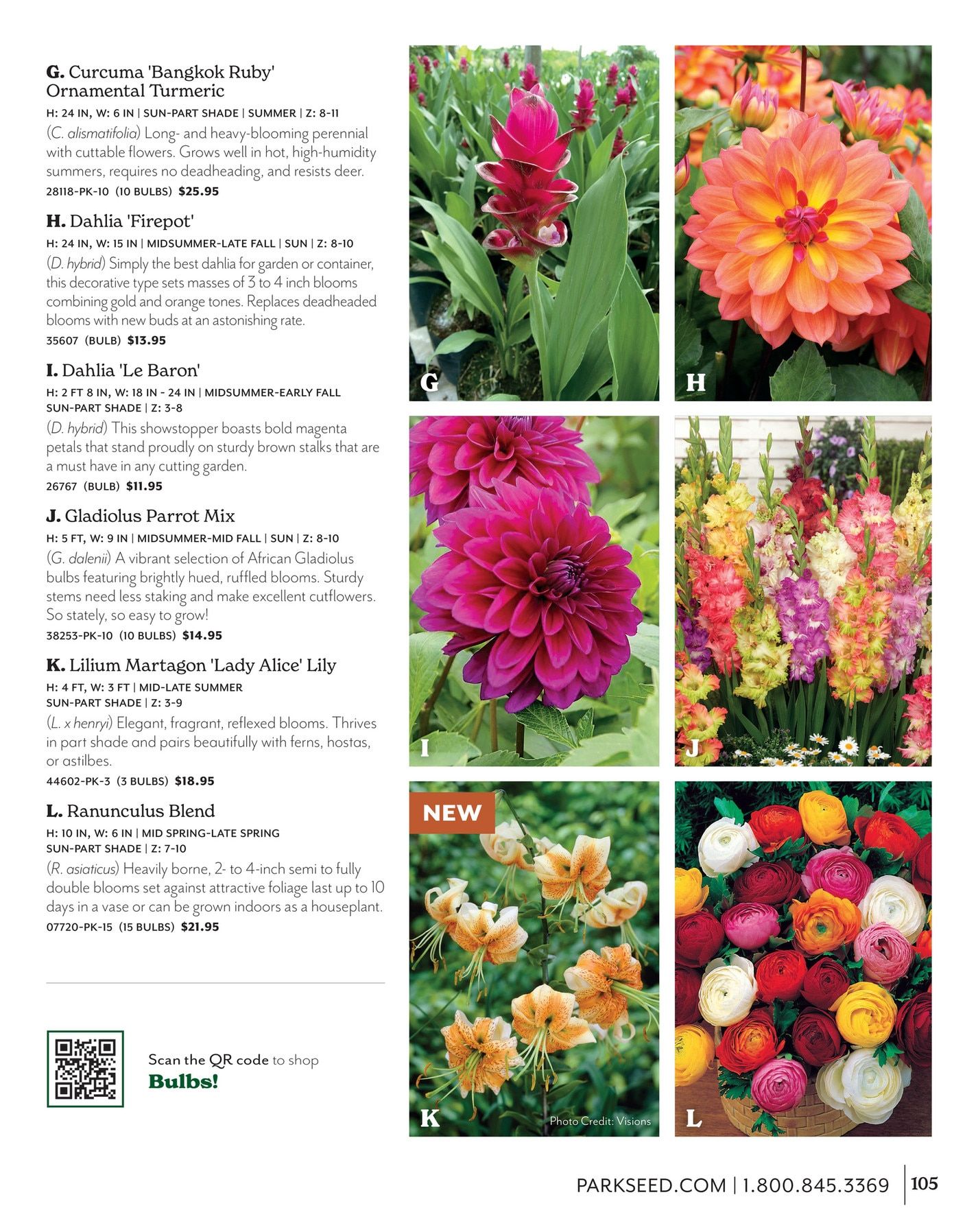 Park Seed Big Seed Spring Catalog Weekly Ad January 1 - December 31, 2026