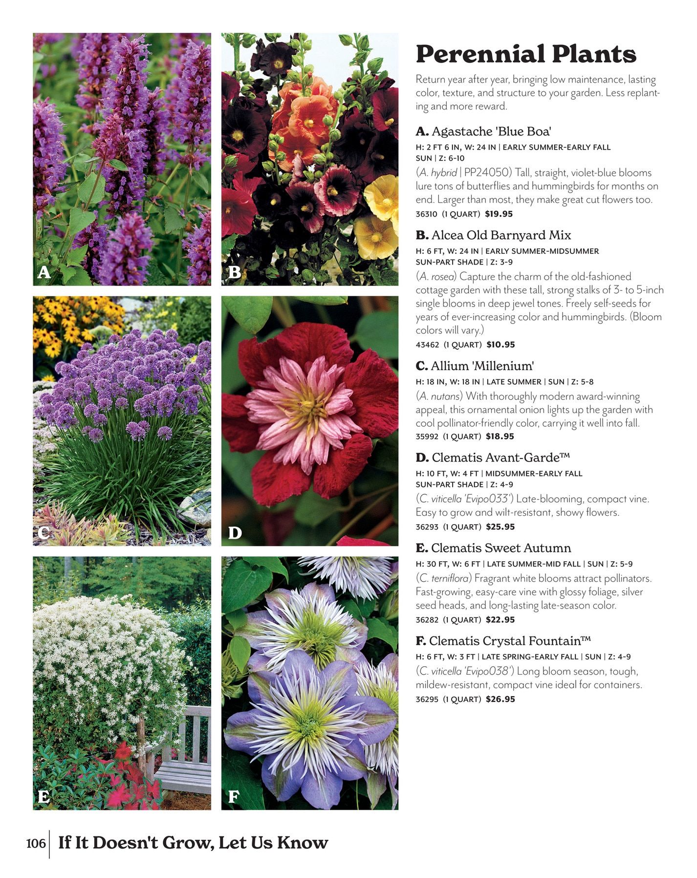 Park Seed Big Seed Spring Catalog Weekly Ad January 1 - December 31, 2026