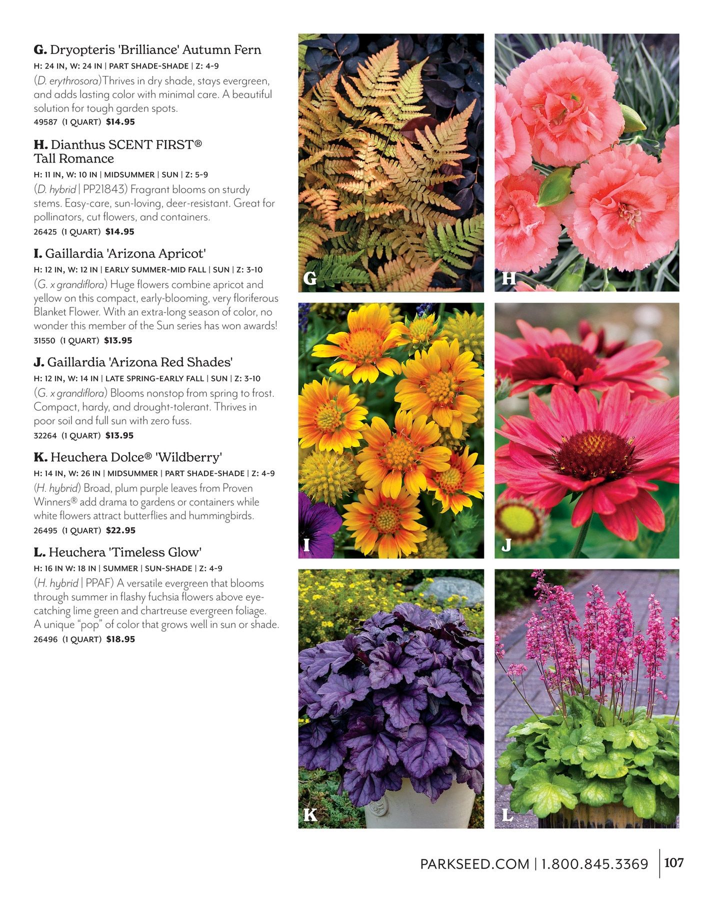 Park Seed Big Seed Spring Catalog Weekly Ad January 1 - December 31, 2026