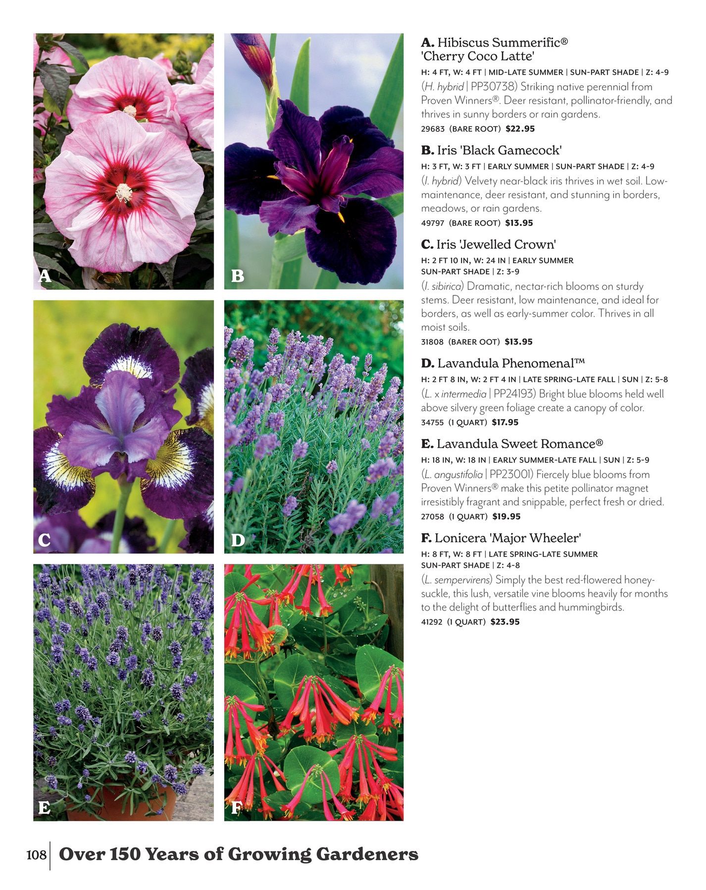Park Seed Big Seed Spring Catalog Weekly Ad January 1 - December 31, 2026