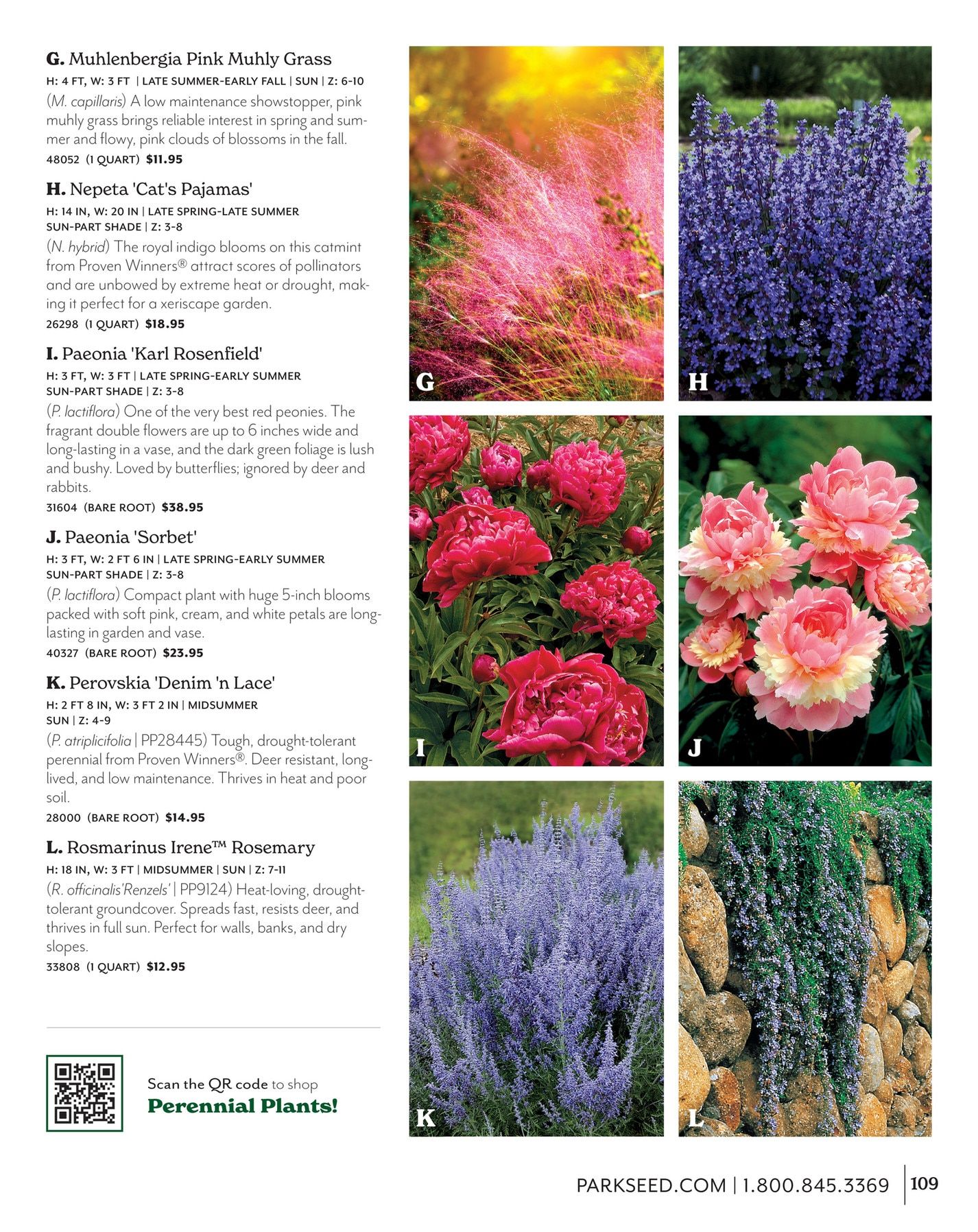 Park Seed Big Seed Spring Catalog Weekly Ad January 1 - December 31, 2026