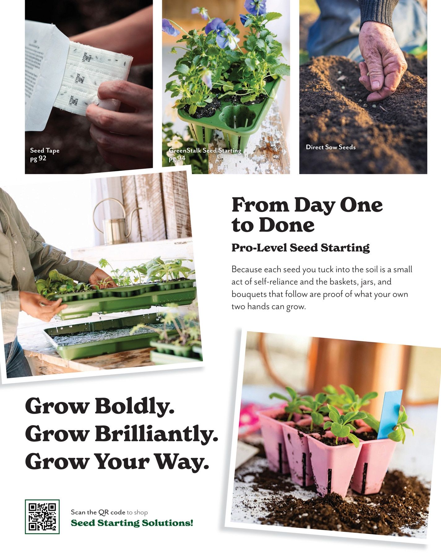 Park Seed Big Seed Spring Catalog Weekly Ad January 1 - December 31, 2026