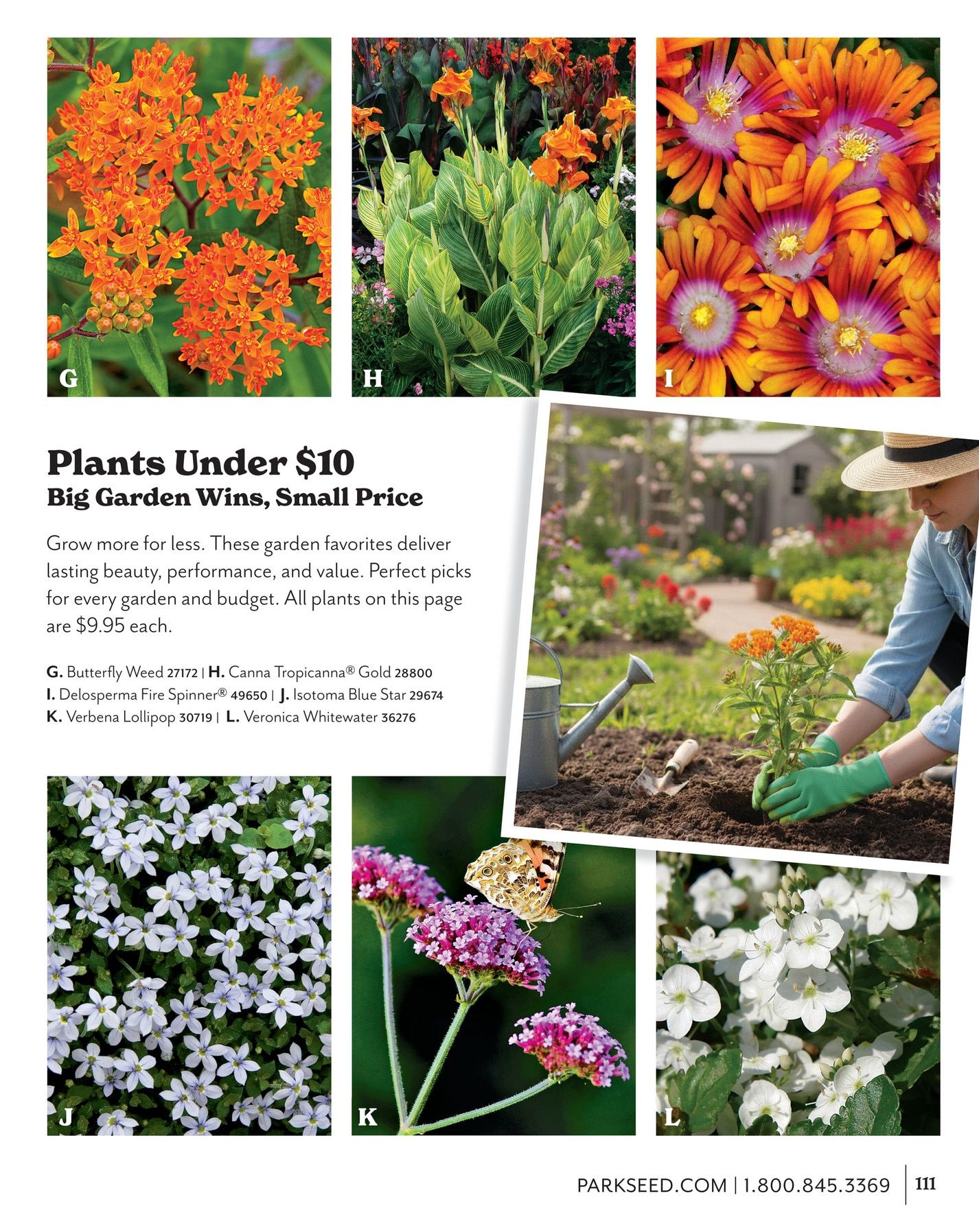 Park Seed Big Seed Spring Catalog Weekly Ad January 1 - December 31, 2026