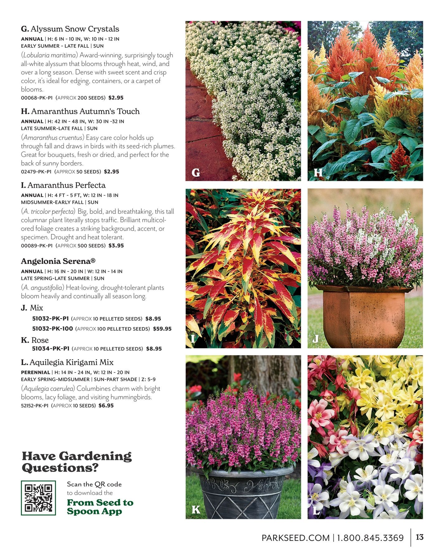Park Seed Big Seed Spring Catalog Weekly Ad January 1 - December 31, 2026