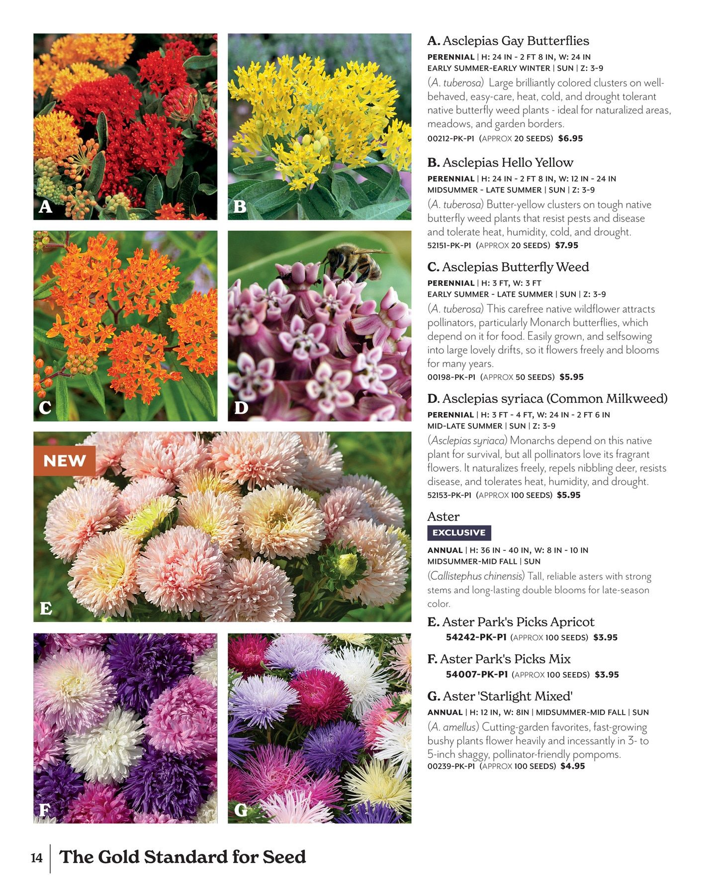 Park Seed Big Seed Spring Catalog Weekly Ad January 1 - December 31, 2026