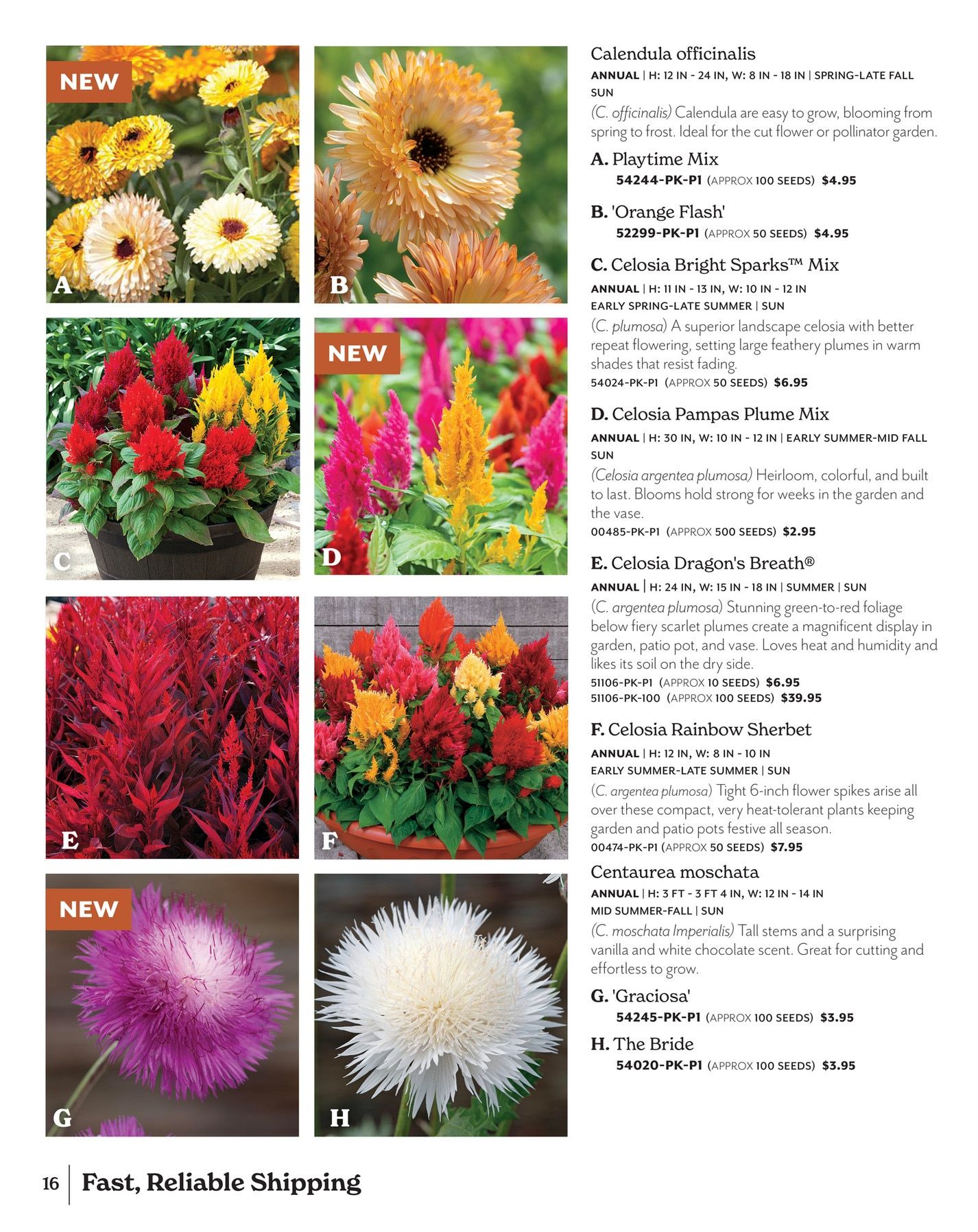 Park Seed Big Seed Spring Catalog Weekly Ad January 1 - December 31, 2026