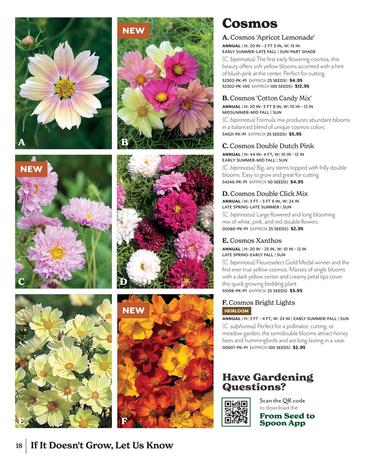 Park Seed Big Seed Spring Catalog Weekly Ad January 1 - December 31, 2026