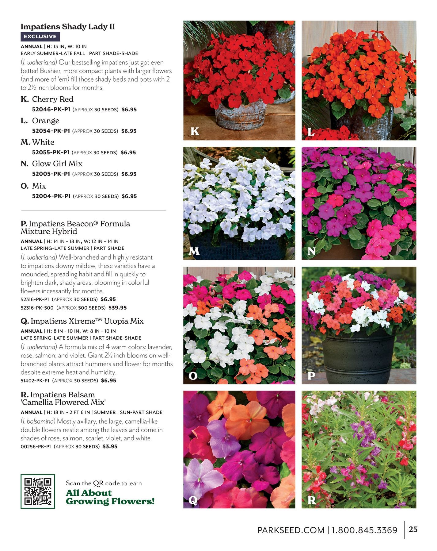 Park Seed Big Seed Spring Catalog Weekly Ad January 1 - December 31, 2026
