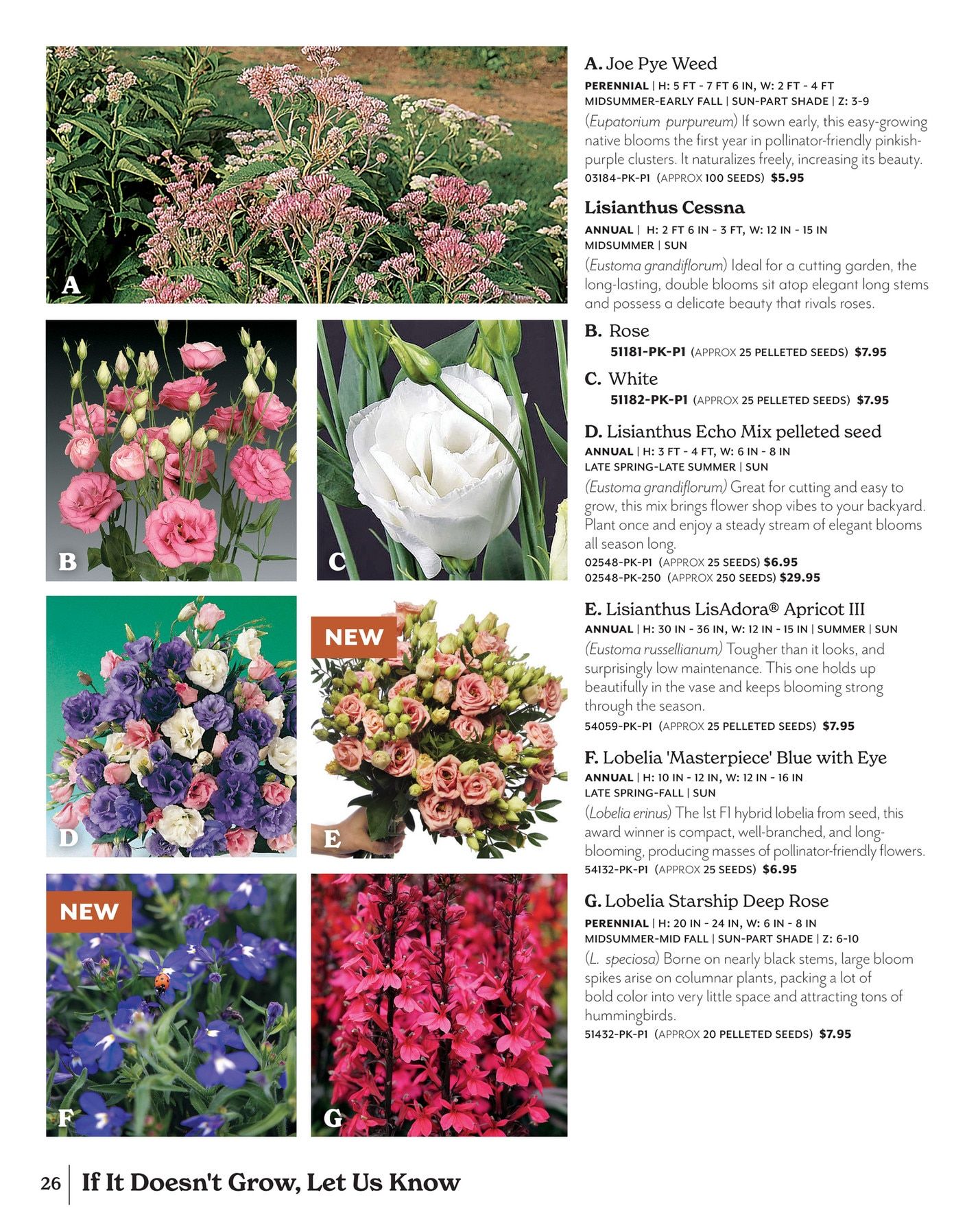 Park Seed Big Seed Spring Catalog Weekly Ad January 1 - December 31, 2026